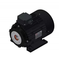 Электродвигатель 5,5 кВт полый вал 24 мм 230/400 В - 50 Гц, 112 T4 B3 BS AC 24 Электродвигатель 5,5 кВт полый вал 24 мм 230/400 В - 50 Гц, 112 T4 B3 BS AC 24
