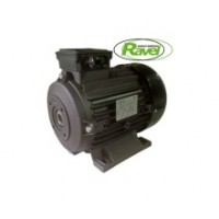 Электродвигатель для АВД Ravel 5,5 kW 