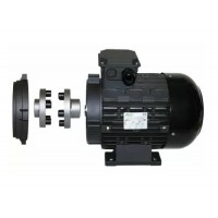 Двигатель 7,5 кВт H132S полый вал d 24 мм с напольной установкой с эластичной муфтой Двигатель 7,5 кВт H132S полый вал d 24 мм с напольной установкой с эластичной муфтой