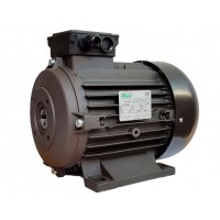 Мотор RAVEL H160 S HP 20 4P MA AC KW 15 4P