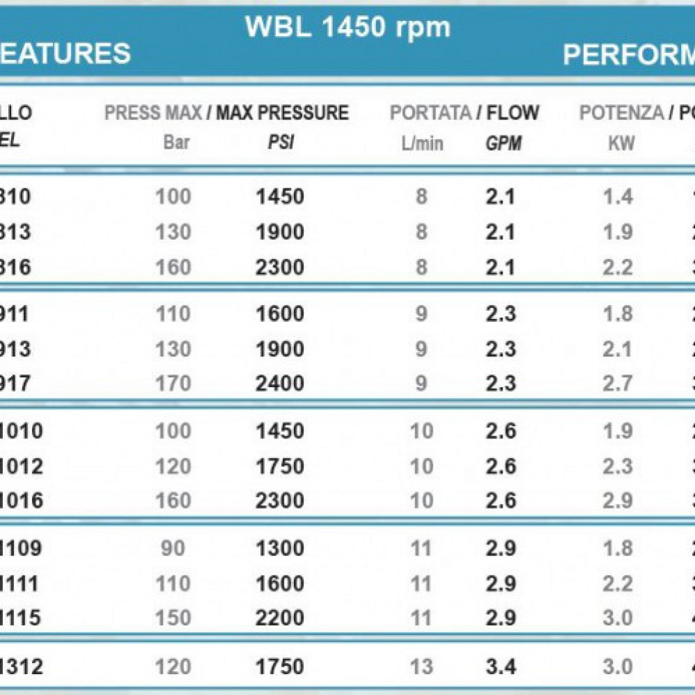 Насос высокого давления Bertolini WBL 810 (026000973)