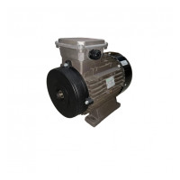 Мотор RAVEL H160 S HP 20 4P MA AC KW 15 4P