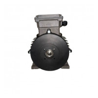 Мотор RAVEL H160 S HP 20 4P MA AC KW 15 4P