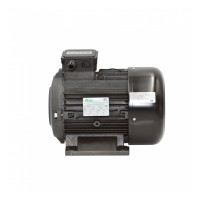 Электродвигатель для АВД Ravel 5,5 kW 