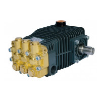 Насос высокого давления Bertolini RAL 2535-P (08100097A)