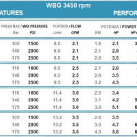 Насос Bertolini WBG 2525 для бензинового двигателя (175 бар, 9,5 л/мин, полый вал 3/4