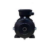 Электродвигатель H112 HP 7.5 4P MA AC KW 5,5 4P (межосевое расстояние 75мм)
