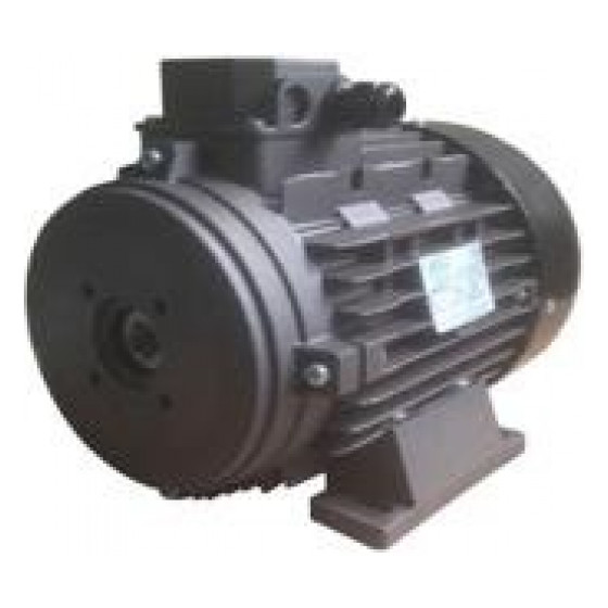Мотор H132L HP 12.5 4P MA AC KW 9,2