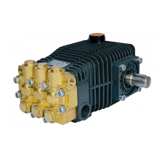 Насос высокого давления Bertolini RAL 2535-P (08100097A)